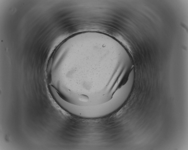 X0000095131088200801041240