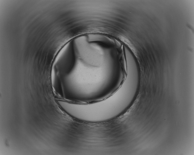 X0000095131089200801041240