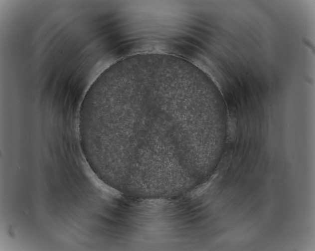 X0000095131090200801041240