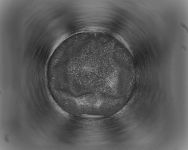 X0000095131091200801041240