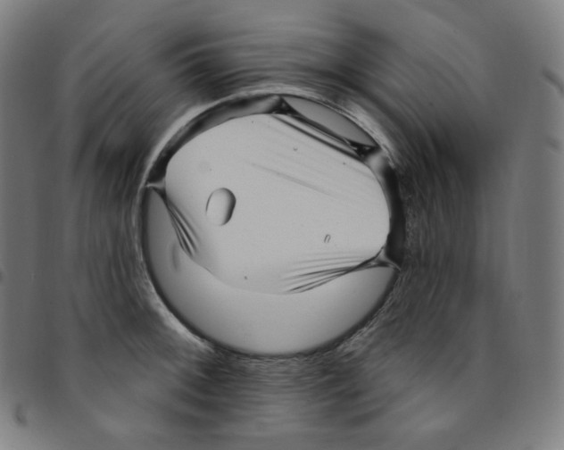 X0000095131092200801041240