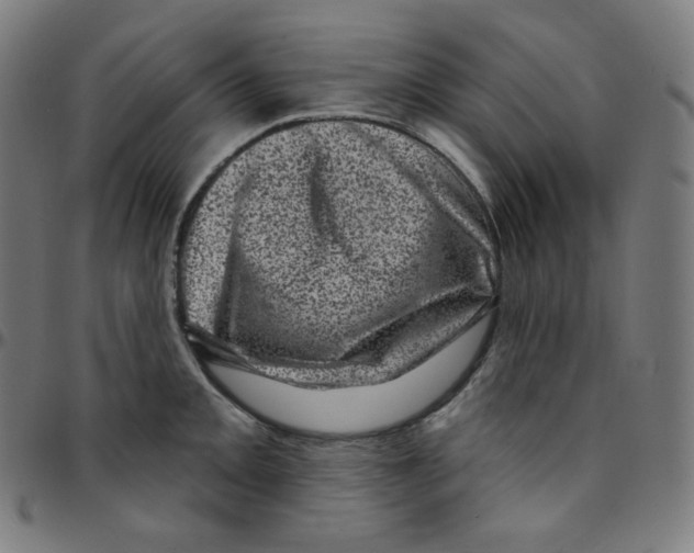 X0000095131093200801041240