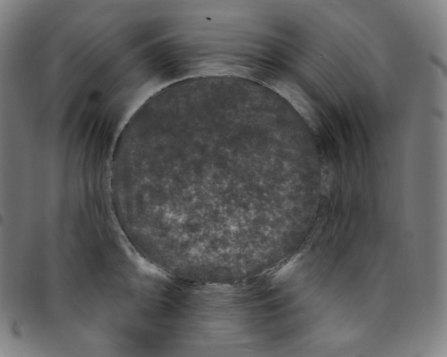 X0000095131094200801041240