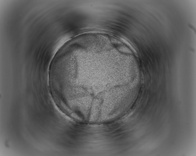 X0000095131095200801041240