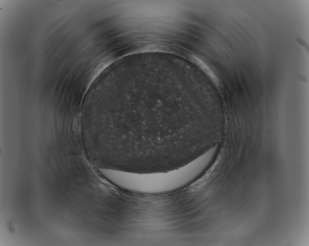 X0000095131097200801041240