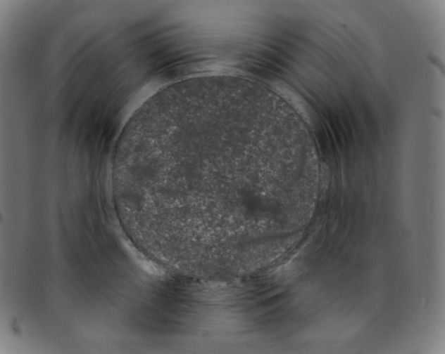 X0000095131098200801041240