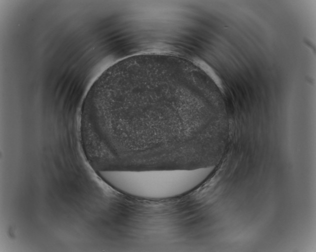 X0000095131099200801041240