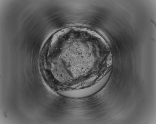 X0000095131100200801041240