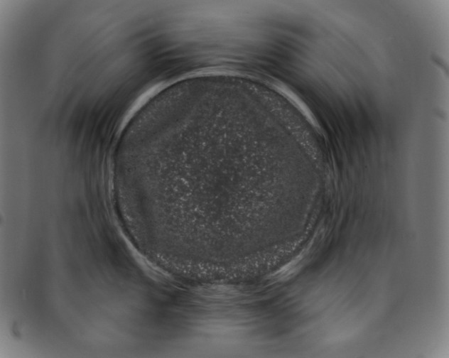 X0000095131101200801041240