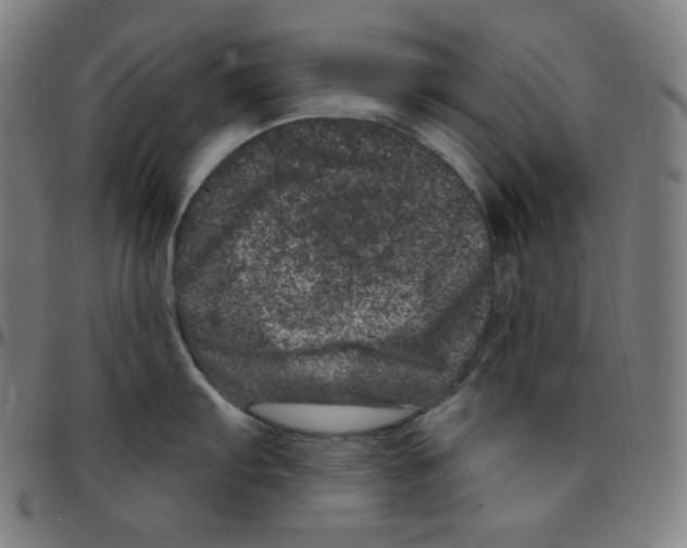 X0000095131103200801041240