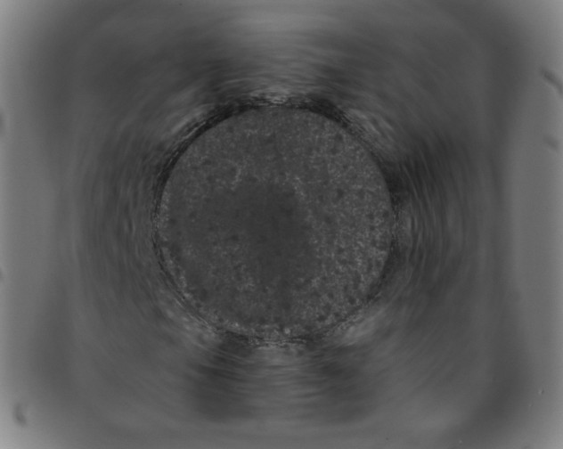 X0000095131105200801041240