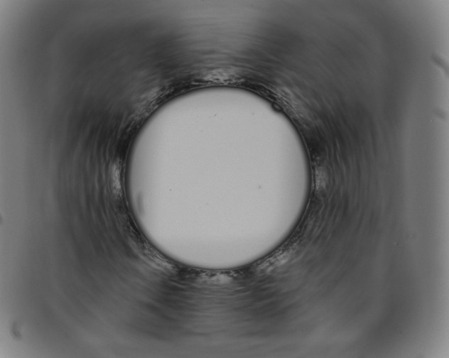 X0000095131106200801041240