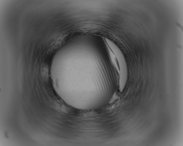 X0000095131108200801041240