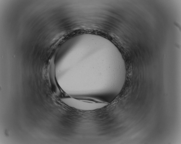 X0000095131110200801041240