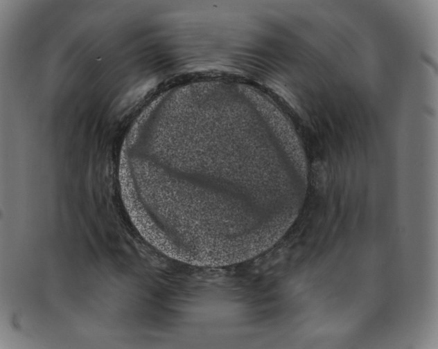 X0000095131111200801041240