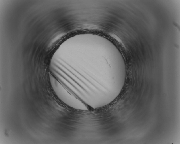 X0000095131112200801041240