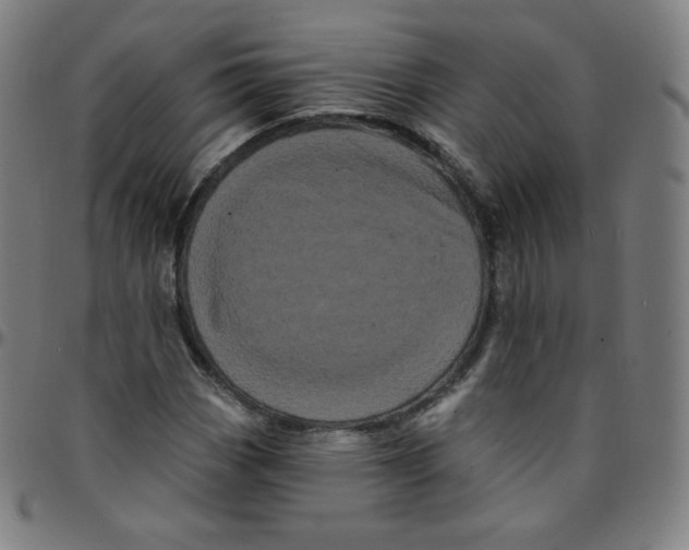 X0000095131113200801041240