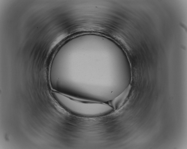 X0000095131114200801041240