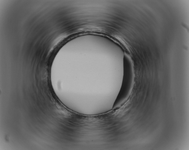 X0000095131115200801041240