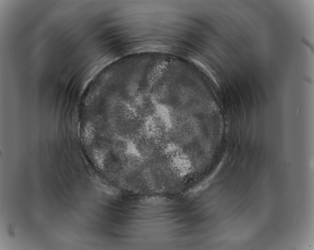 X0000095131117200801041240