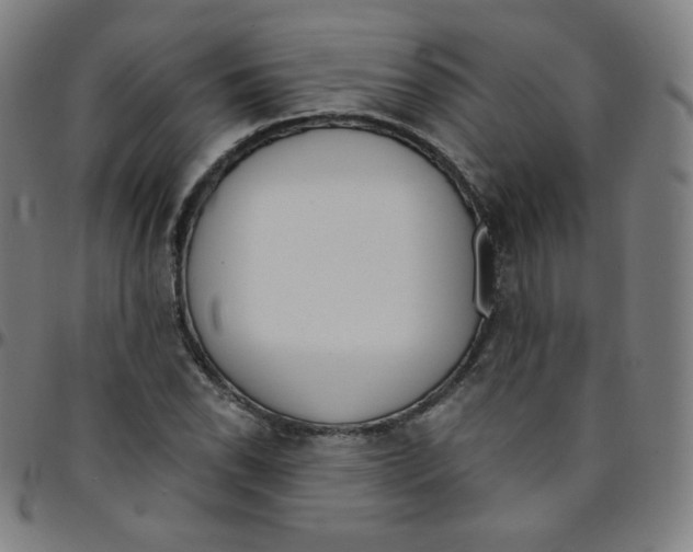 X0000095131118200801041240