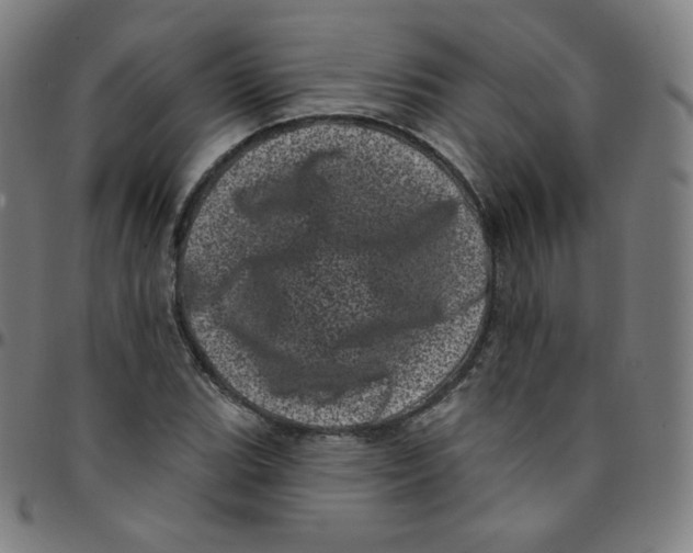 X0000095131119200801041240