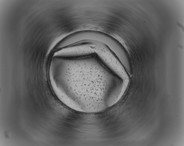 X0000095131120200801041240