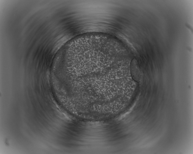 X0000095131121200801041240