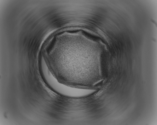 X0000095131124200801041240