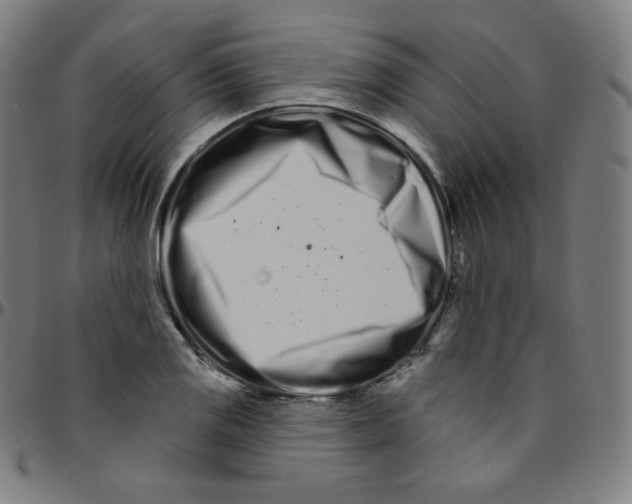 X0000095131125200801041240