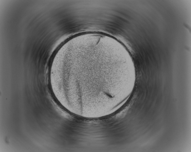 X0000095131126200801041240