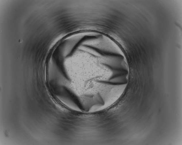 X0000095131127200801041240