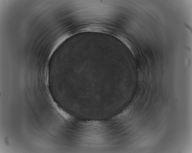 X0000095131131200801041240