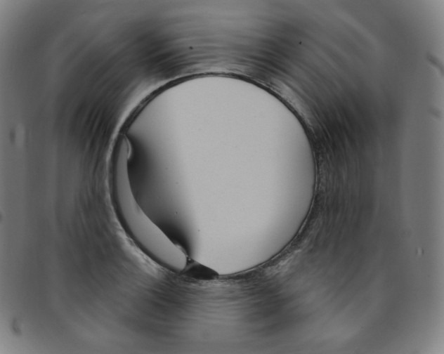 X0000095131132200801041240