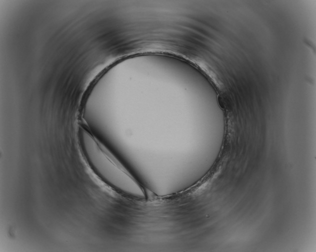 X0000095131134200801041240