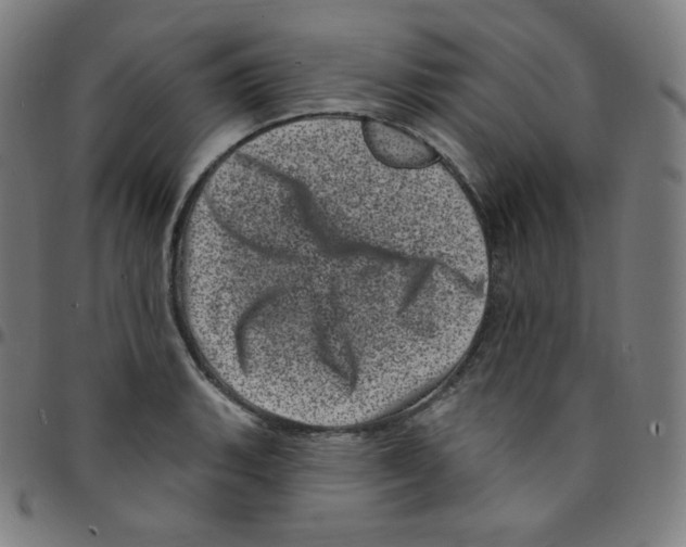 X0000095131135200801041240