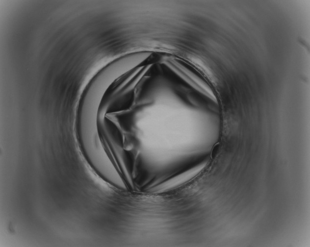 X0000095131136200801041240