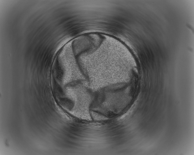 X0000095131137200801041240