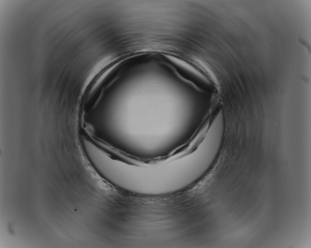 X0000095131138200801041240