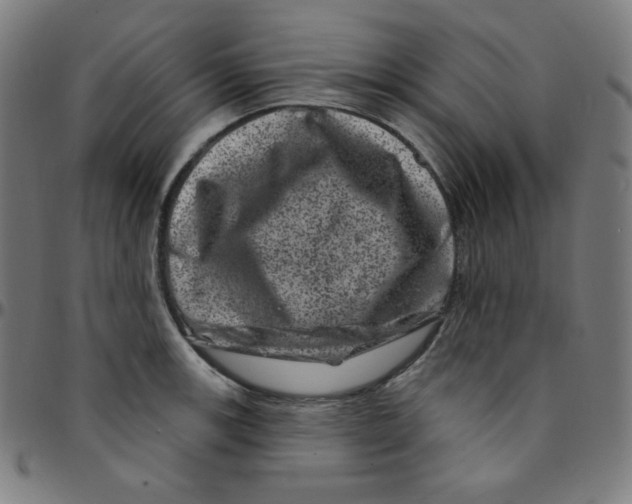 X0000095131139200801041240