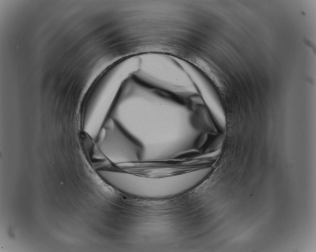 X0000095131140200801041240