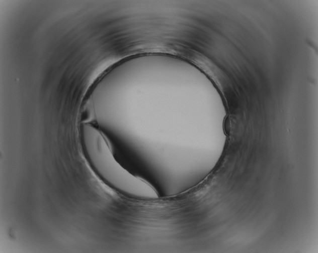 X0000095131141200801041240