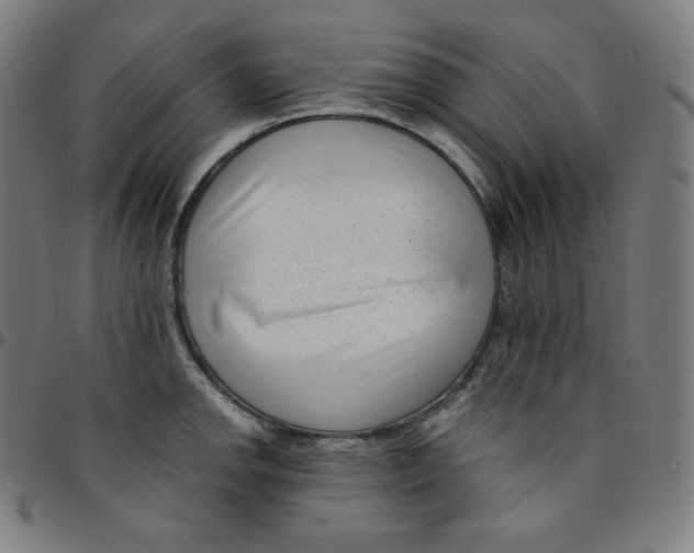 X0000095131142200801041240