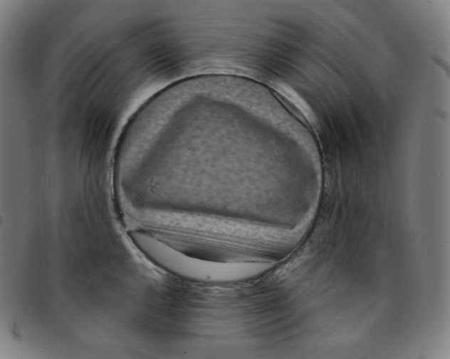 X0000095131144200801041240