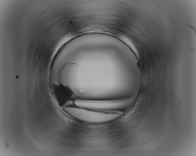 X0000095131146200801041240