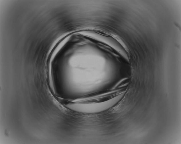 X0000095131148200801041240