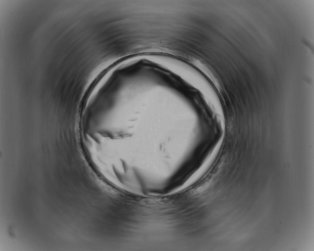 X0000095131149200801041240