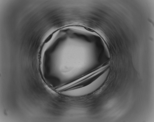 X0000095131151200801041240