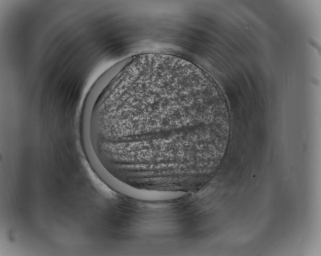 X0000095131152200801041240