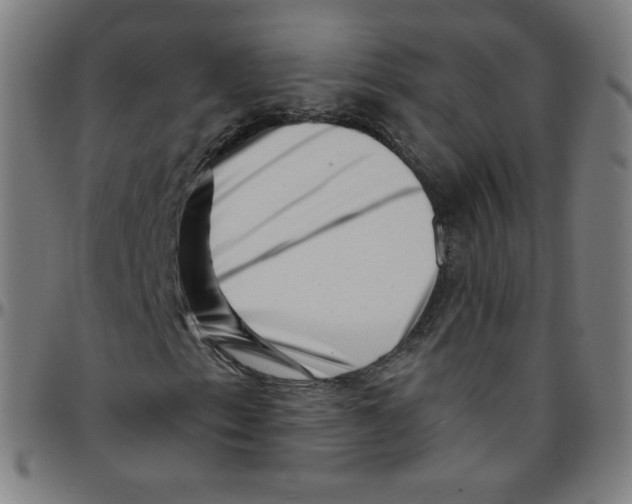 X0000095131153200801041240